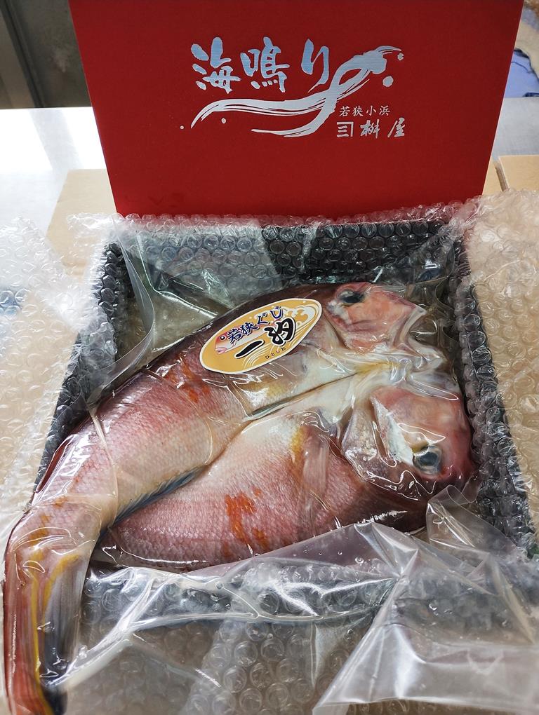 若狭ぐじ500gサイズ一汐