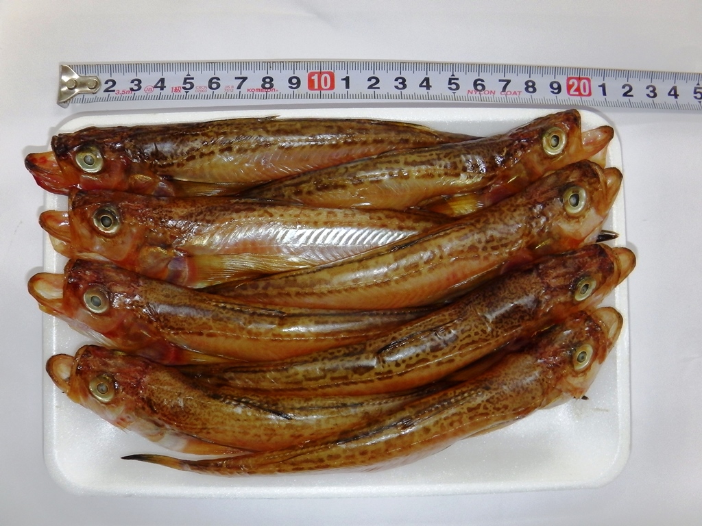ハタハタの醤油干し ハタハタの醤油干し